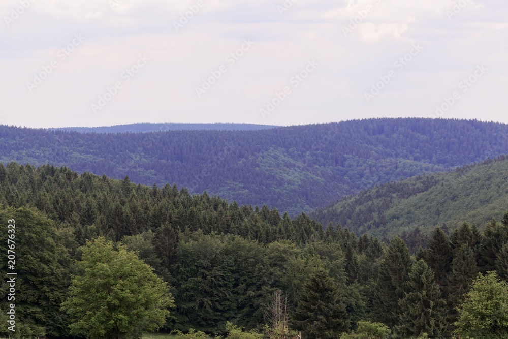 Landscape in the Vessertal a part of the Thuringian Forest Nature Park in Germany