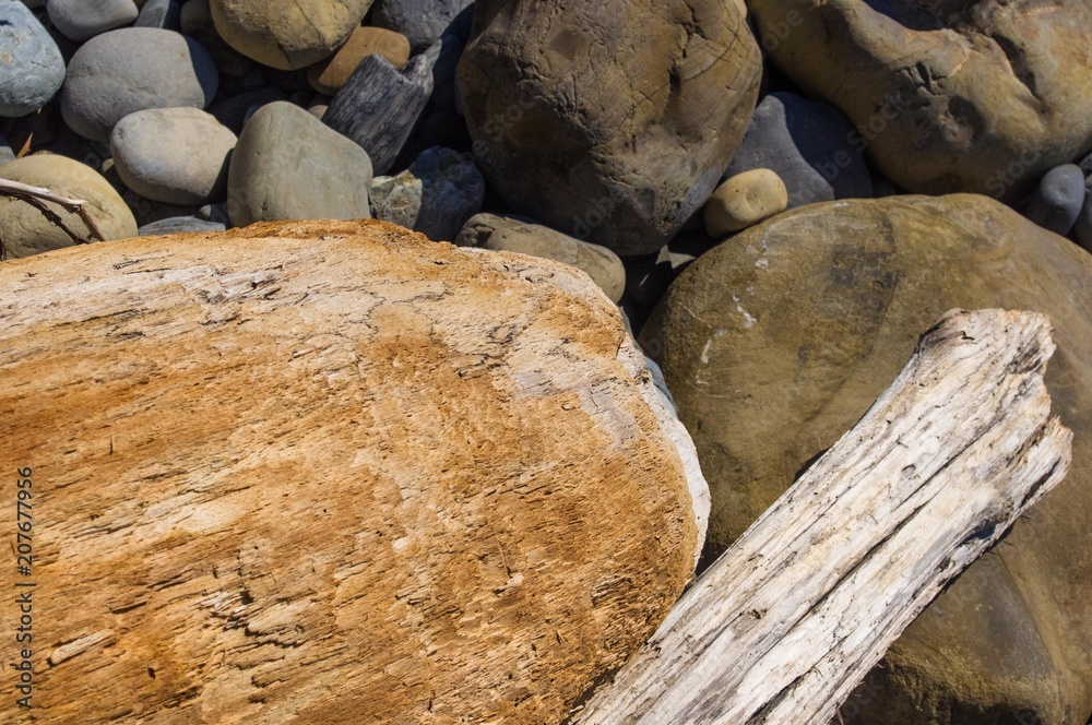 driftwood, washed up by the sea on a pebble beach driftwood, washed up by the sea on a pebble beach