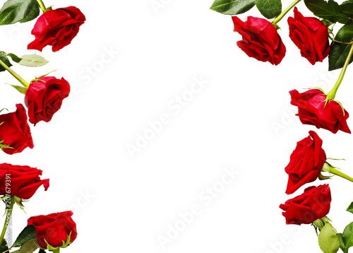 Frame of fresh red roses on white background with copy space