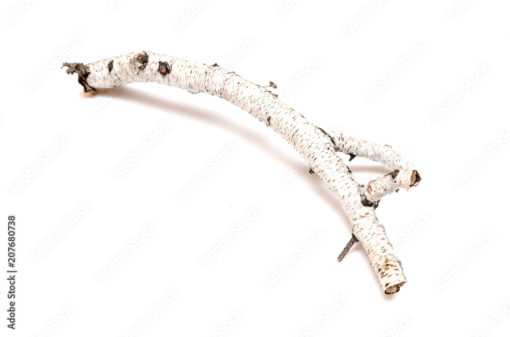 Birch branches isolated on white background. Natural decoration elements. Birch branches isolated on white background. Natural decoration elements.