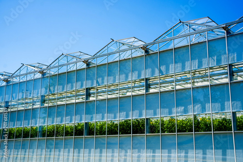 Modern glass greenhouses against the blue sky. © romaset