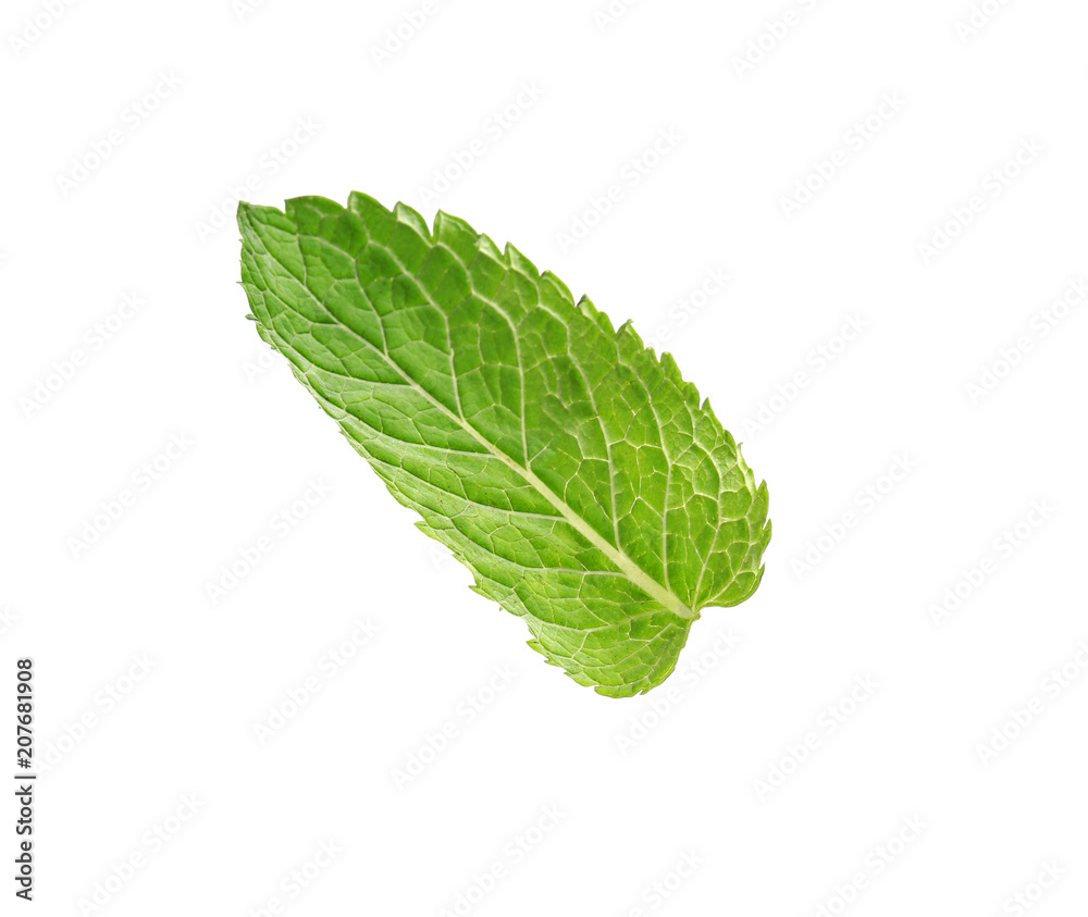 Obraz premium Fresh green mint leaf on white background