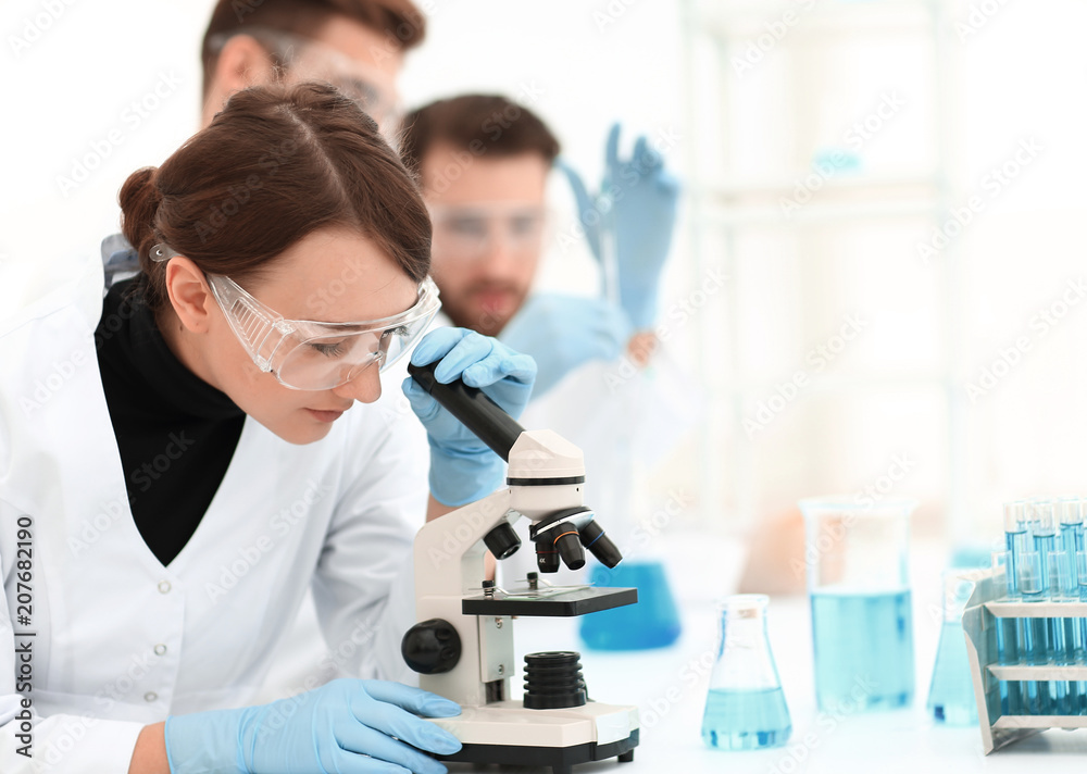 female scientists looking into a microscope female scientists looking into a microscope