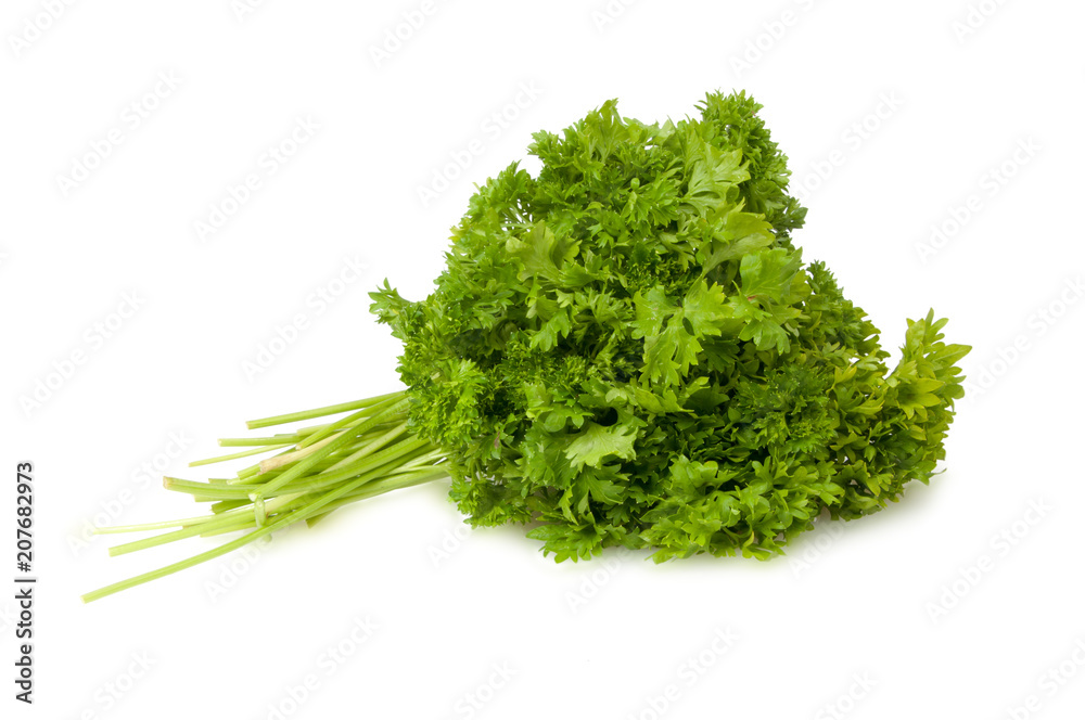 Fresh green parsley for salad isolated on the white Fresh green parsley for salad isolated on the white