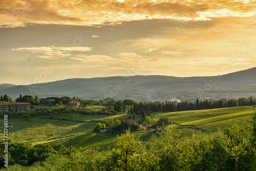 Rural landscape	