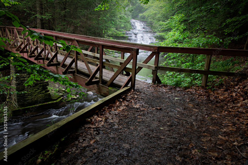 Bridge Over Myosotis Falls Stream