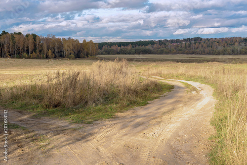 Autumn rustic landscape, path in the field with round straw bales after harvest on background of forest. Sunny day on the countryside