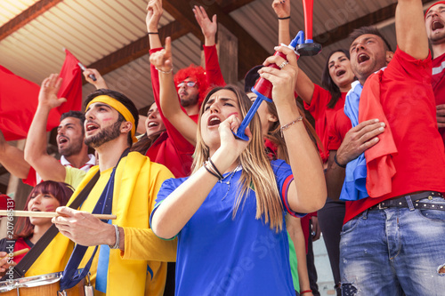 group of fans dressed in various colors watching a sports event