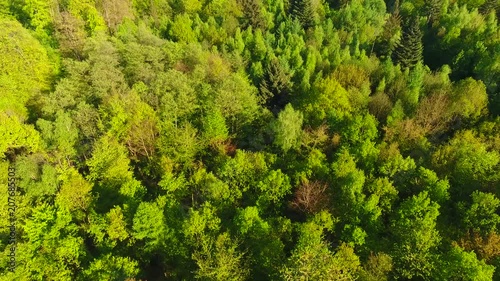 Slow drone flight high above a European mixed forest in spring