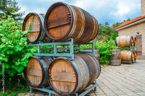 barrels for wine and grape bush growing nearby
