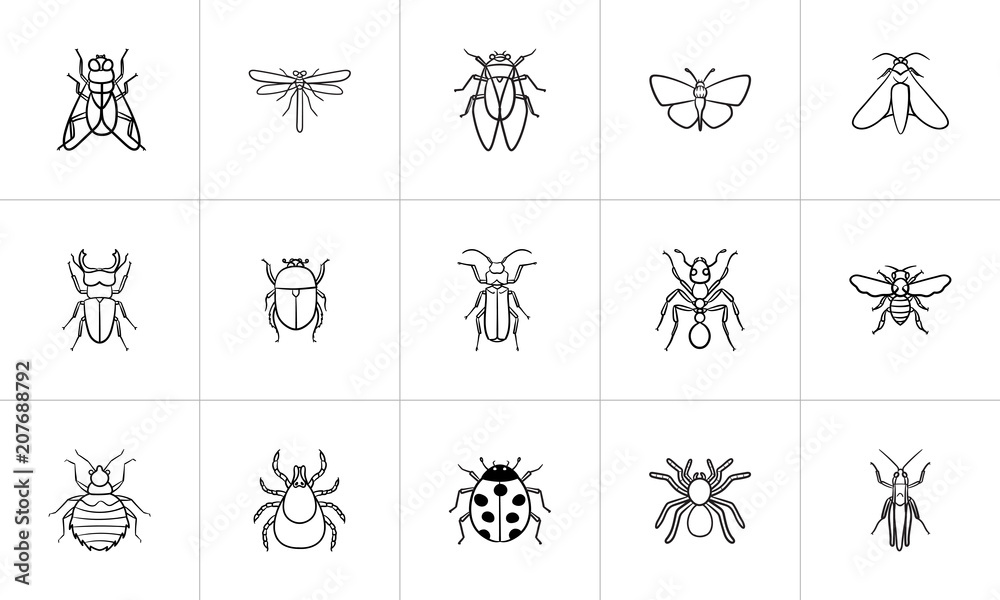 Insects sketch icon set for web, mobile and infographics. Hand drawn insects vector icon set isolated on white background. Insects sketch icon set for web, mobile and infographics. Hand drawn insects vector icon set isolated on white background.