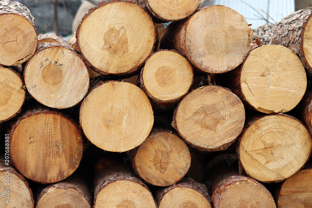 A front image of the piles of firewood. A front image of the piles of firewood.