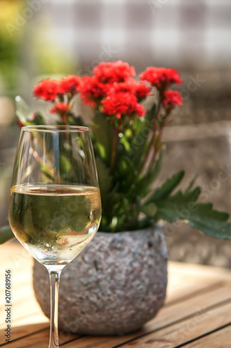 Weinglas vor Pflanze