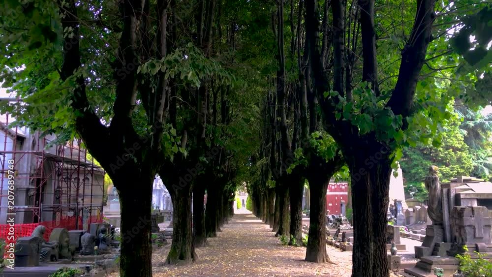 Tree-lined avenue during a sunny day inside a cemetery surrounded by gravestones. Milan, Italy Tree-lined avenue during a sunny day inside a cemetery surrounded by gravestones. Milan, Italy
