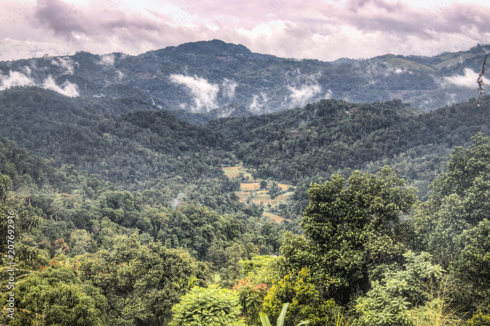Fototapeta premium Amazing landscapes in Kandy, Sri Lanka.
