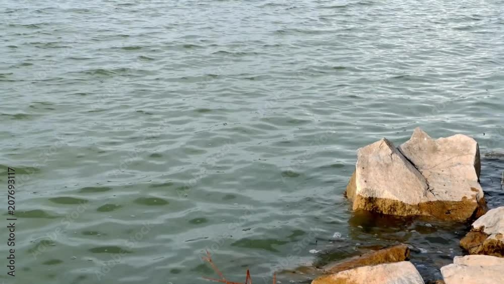 sea, waves and rocks

