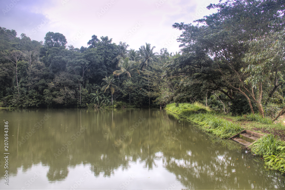 Obraz premium River landscape in Pinnawala, Sri Lanka.