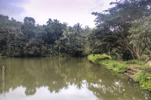 River landscape in Pinnawala  Sri Lanka.