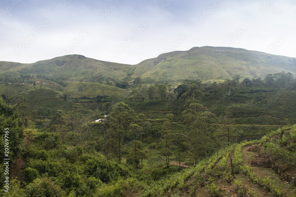 Landscape in the highlands of Sri Lanka.