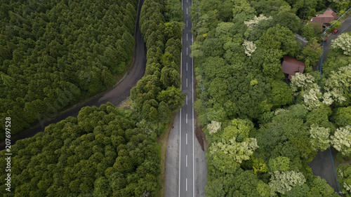 [空撮写真]上空からみおろす道