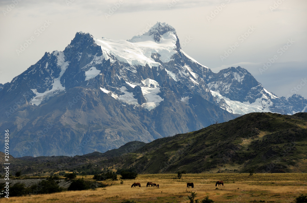 Horses in front of Cerro Paine Grande, Torres del Paine national park