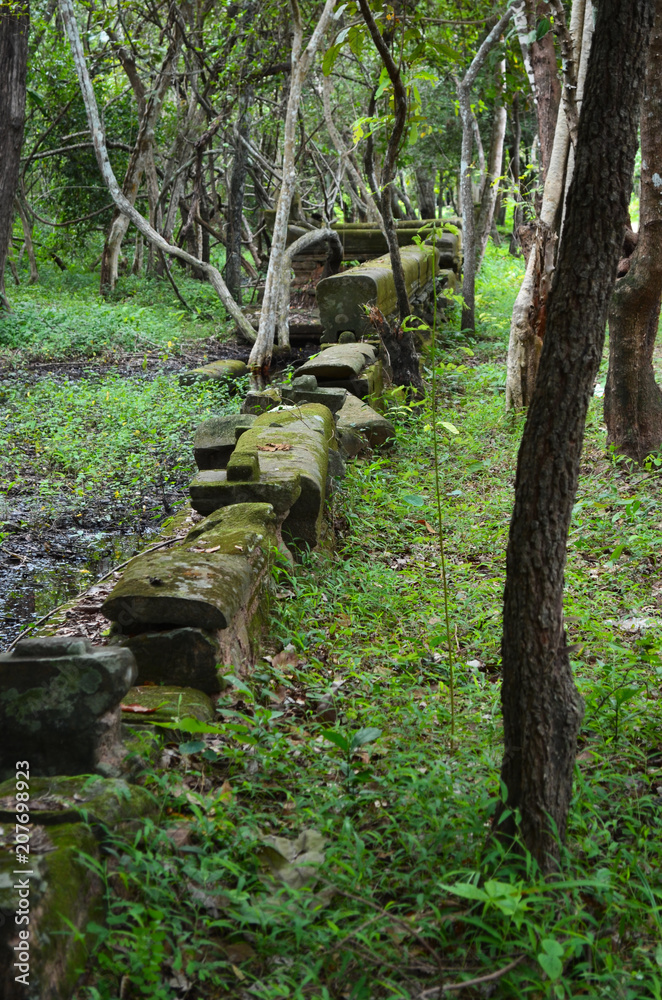 A ruined stone wall in a forest, surrounded by trees and lush undergrowth. The wall is covered with moss, but the original shape of the stones can be seen. A ruined stone wall in a forest, surrounded by trees and lush undergrowth. The wall is covered with moss, but the original shape of the stones can be seen.