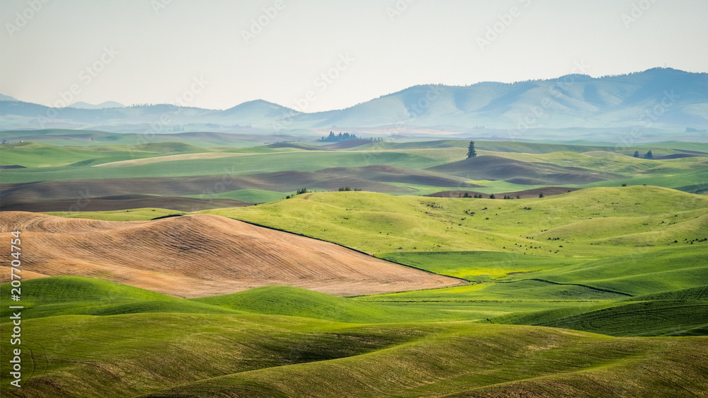 Rolling Hills on the Palouse Rolling Hills on the Palouse