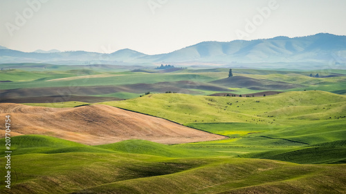 Rolling Hills on the Palouse