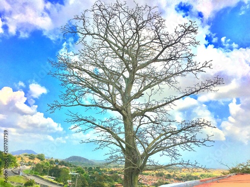 Naturaleza  Paisaje  Belleza.