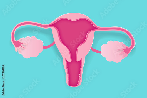 cute cartoon uterus photo