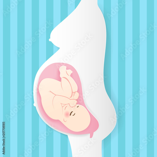 cute cartoon pregnant woman