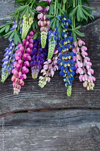 variety of lupin flowers on wooden surface photo