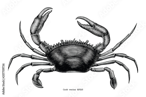Crab hand drawing vintage clip art