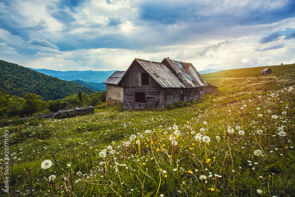 green mountain meadow with old house in the background. green mountain meadow with old house in the background.