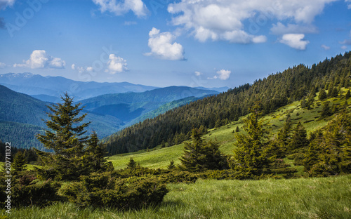 green mountain meadow with mountain range in the background. © Dmytro Titov