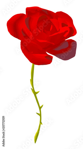 single beautiful red rose for sweetheart