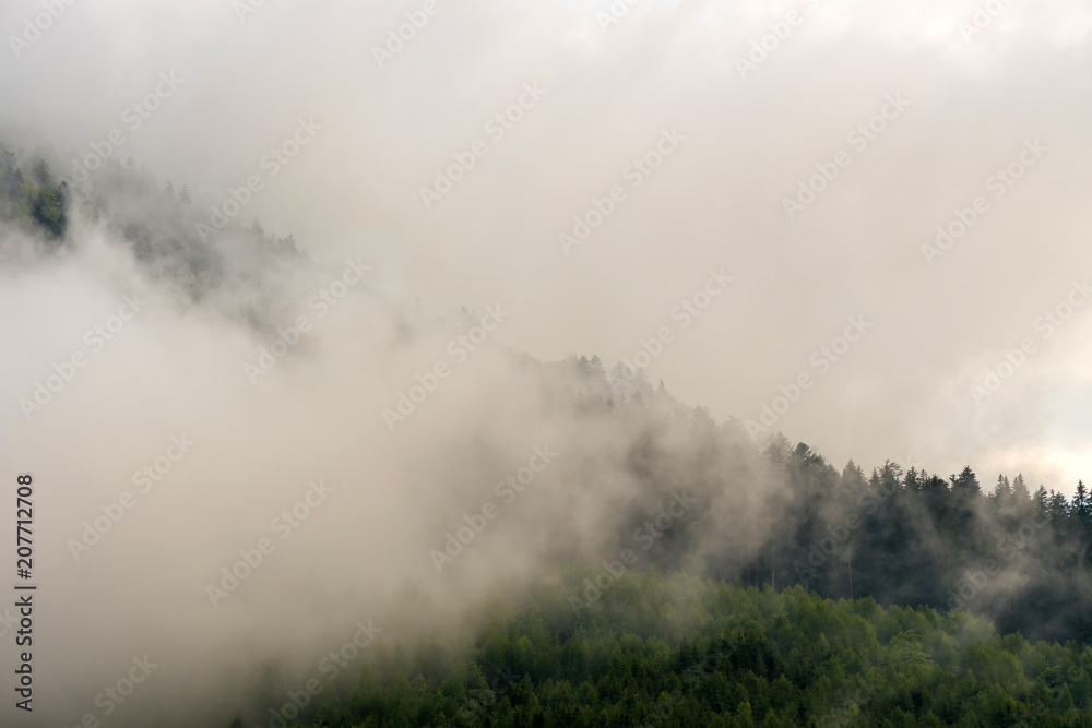 View of mountain forests covering by fog