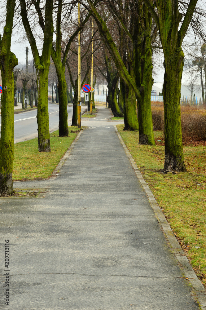 Chodnik dla pieszych, drzewa i kolorowy płot w pochmurny dzień.
