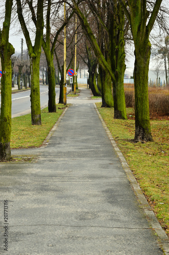 Chodnik dla pieszych  drzewa i kolorowy p  ot w pochmurny dzie  .