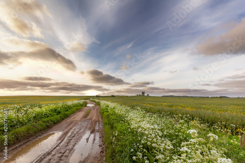 Muddy road leading into the distant rural landscape with plants and flowers and an old ruin in the distance photo