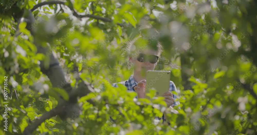 Farmer Examining Blossom Branch In Orchard Farmer Examining Blossom Branch In Orchard
