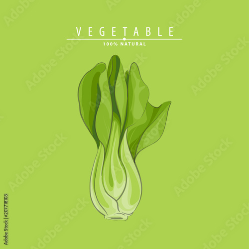 green bok choy