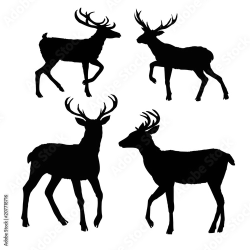 deer silhouette, vector, illustration