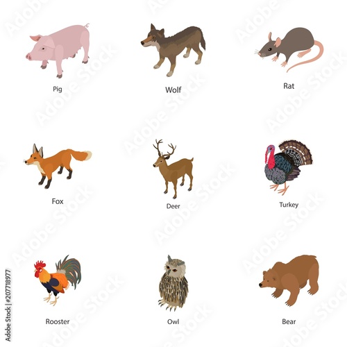 Domesticated animal icons set. Isometric set of 9 domesticated animal vector icons for web isolated on white background