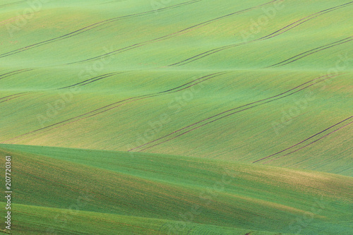 Rolling Hills, South Moravia, Czech Republic