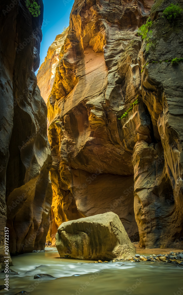 narrows zion water creek river canyon cliffs sunset yellow gold