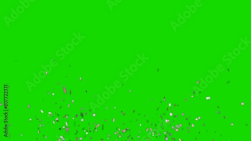 Realistic purple confetti explosion and falling down. Green screen footage.