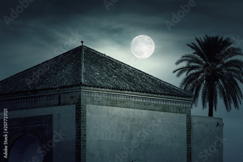 Magic Night in Marrakech Moon over Menara gardens in Morocco