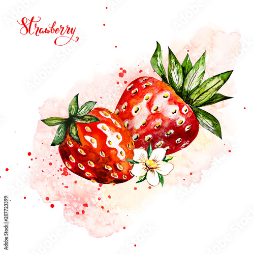 Hand drawn watercolor painting strawberry on white background. Illustration of berries.