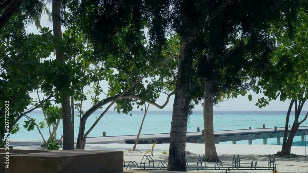 Tropical sandy beach with palm trees and a pier. Tropical sandy beach with palm trees and a pier.